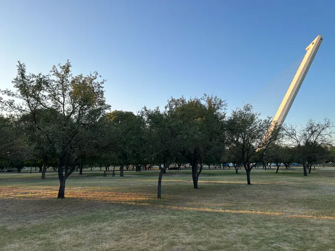 Pradera del Parque del Alamillo con árboles dispersos al atardecer y el mástil del Puente del Alamillo al fondo